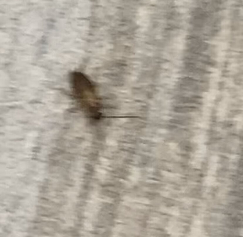 Wingate by Wyndham Indianapolis Airport-Rockville Rd主图