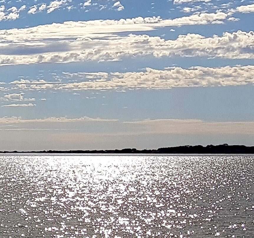 Spirit of the Coorong Cruises-Goolwa必去景点