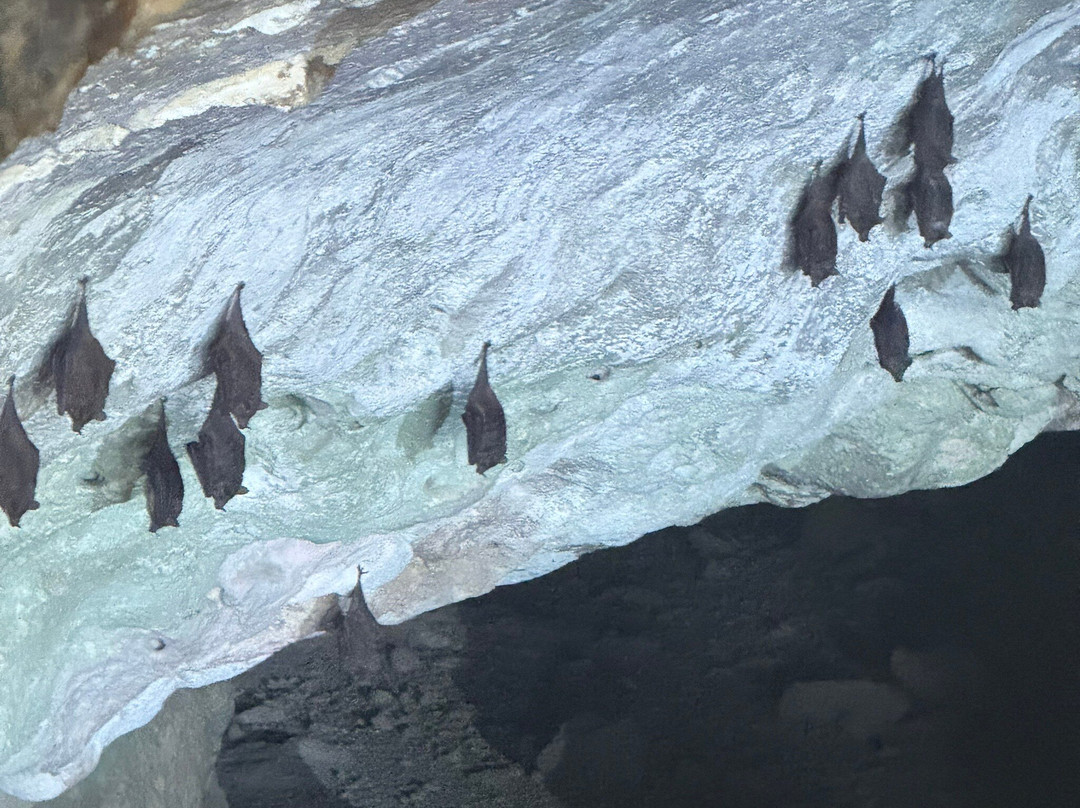 阿勒柯克国家公园-Santa Cruz必去景点