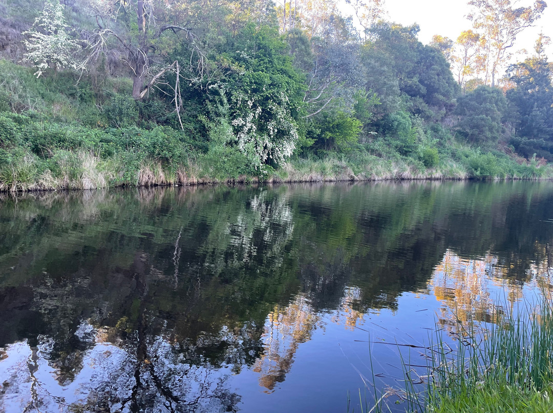 Livingstone Park-Omeo必去景点