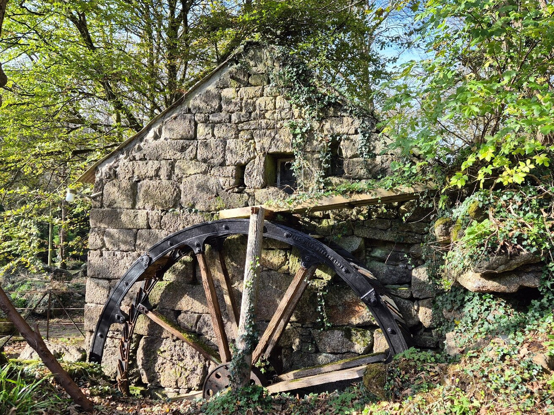 Mousehole to Lamorna Cove Circular Walk