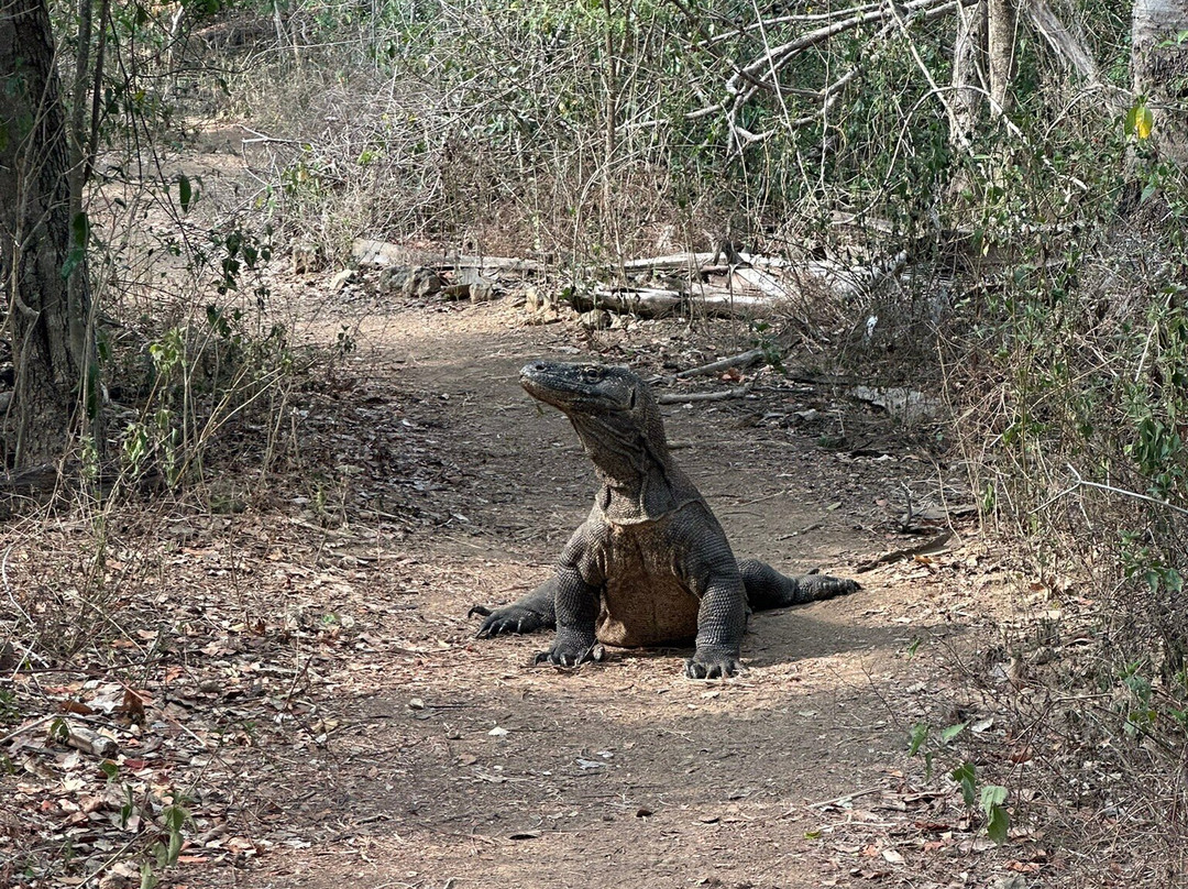 Kareem The Explorer-龙目岛必去景点