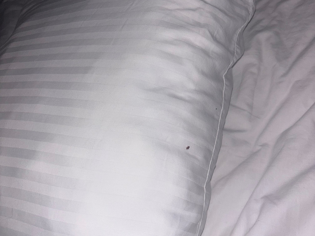 Best Western Acworth Inn主图