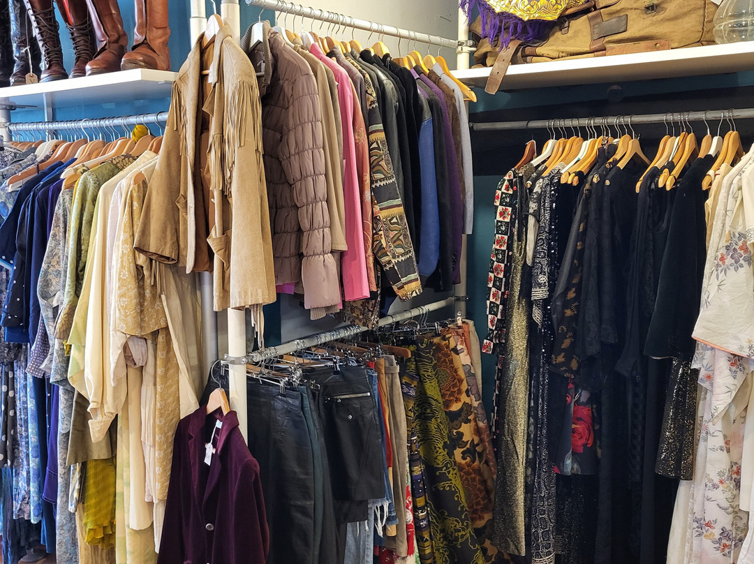 The Dandy Lion-弗罗姆必去景点