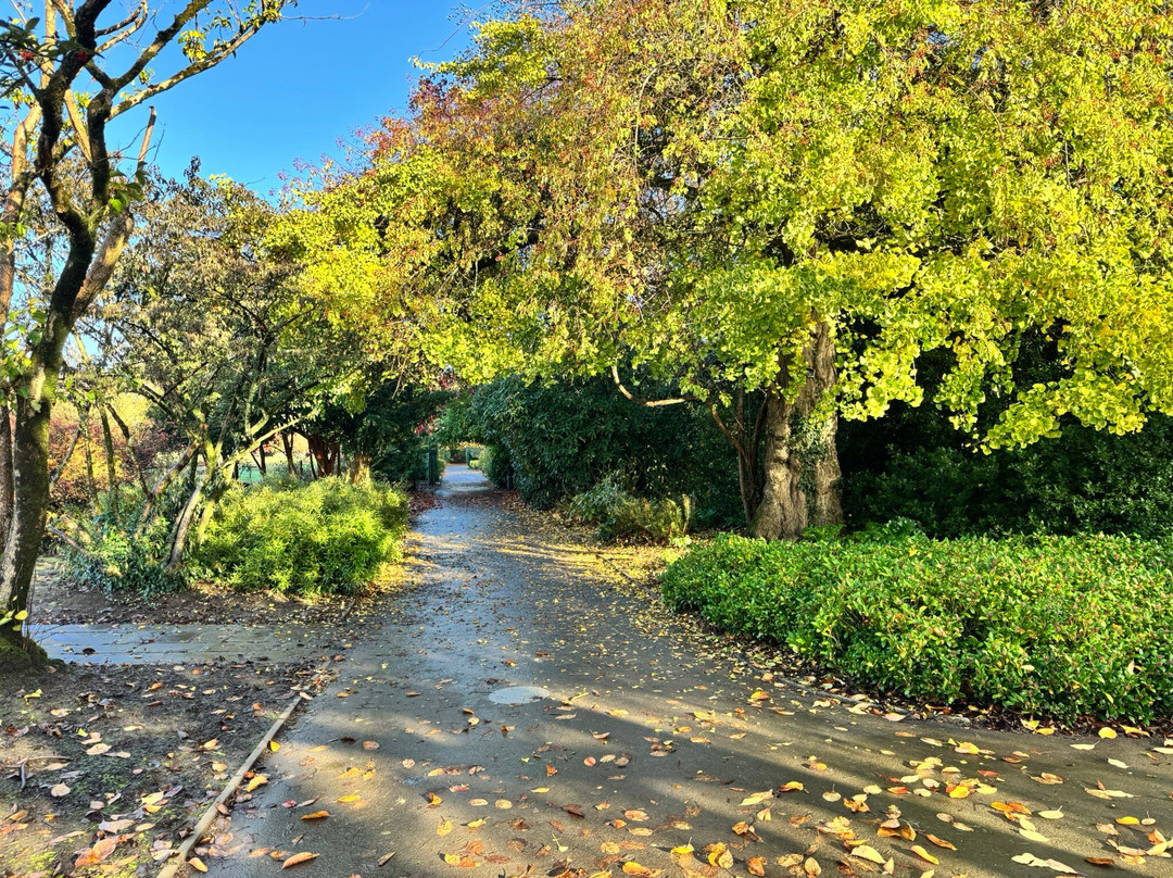 Roath Park-卡迪夫必去景点