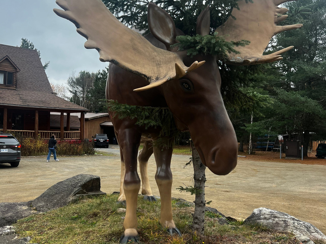 Auberge Refuge du Trappeur主图