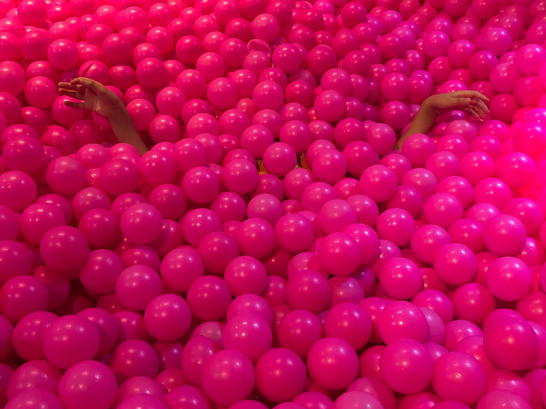 Pink Palace Museum-加亚新城必去景点