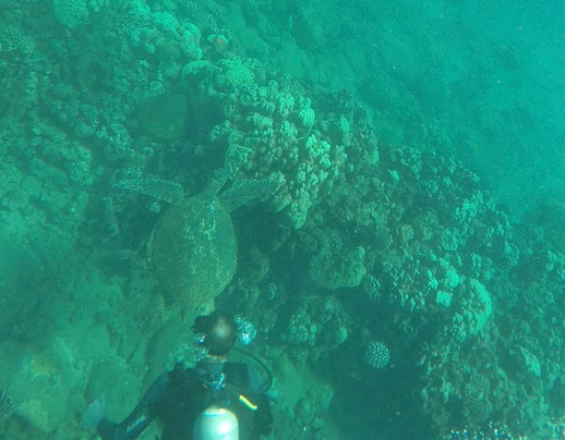 Fathom Five Divers-可洛亚必去景点