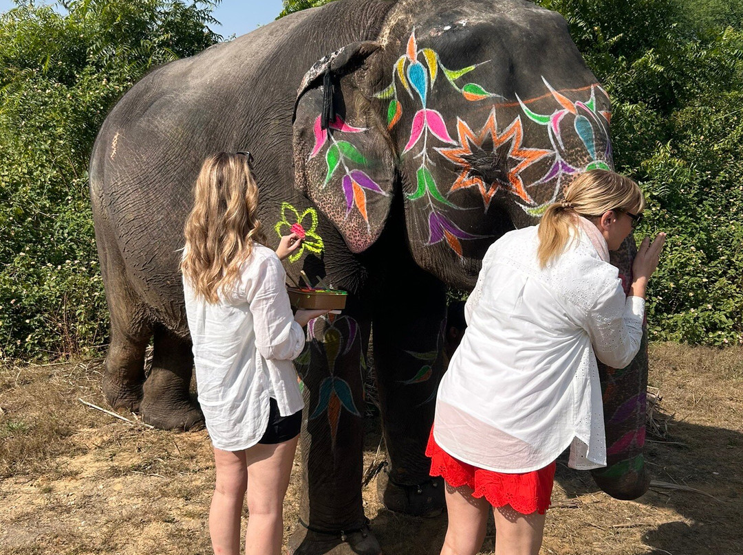 Elefanjoy Elephant Sanctuary-斋蒲尔必去景点