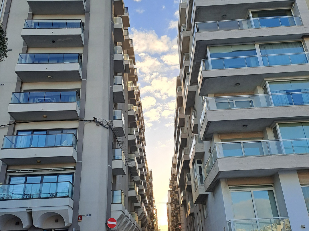 Cat Statue-斯利马必去景点