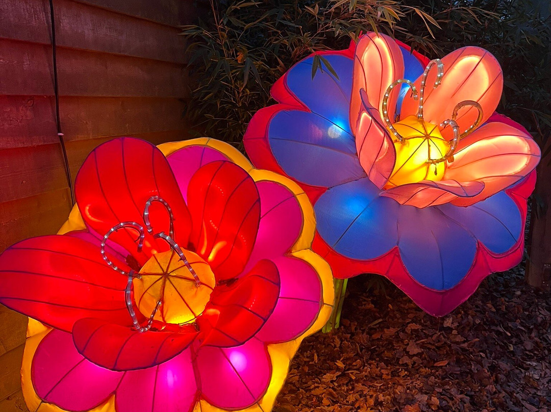 Zoo de Jurques-Jurques必去景点