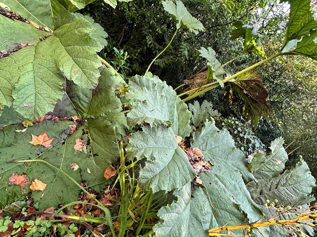 NorthCourt Manor主图