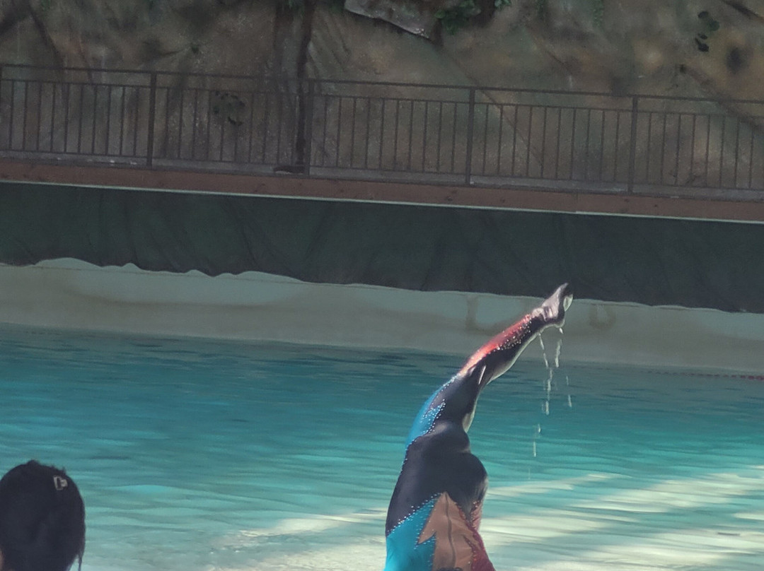 Acquamotion-格拉玛多必去景点