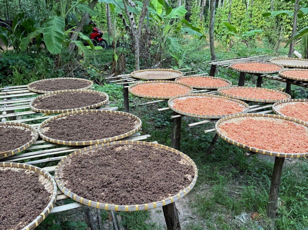 Phu Quoc Countryside-富国岛必去景点