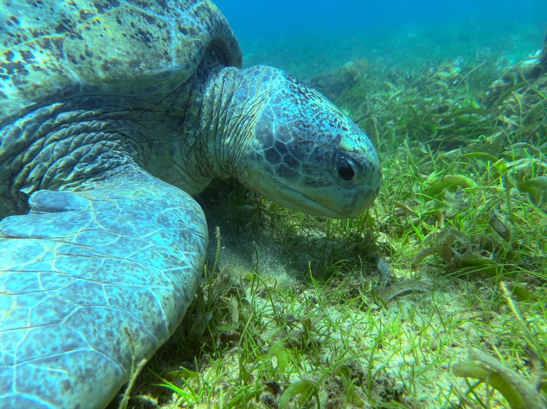 Colours Of Madagascar-Hell-Ville必去景点