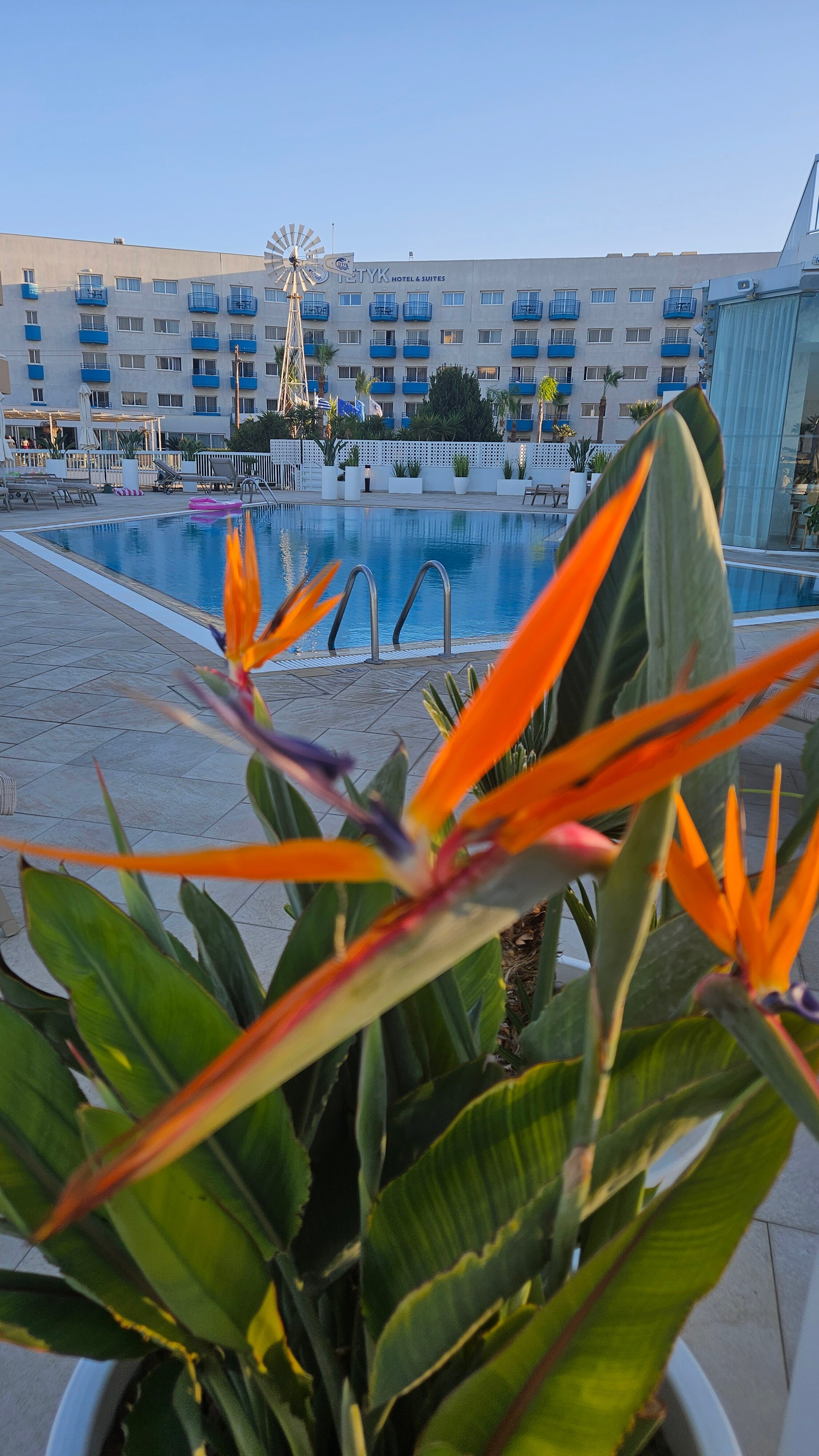 Louis Infinity Blu-泳池