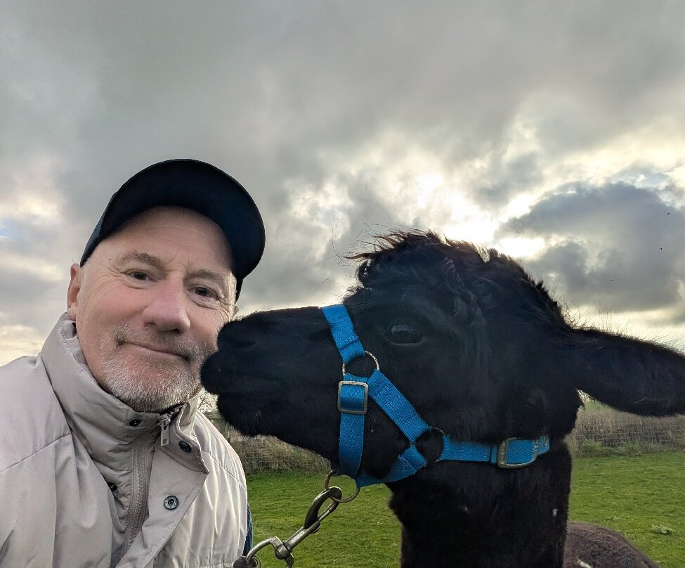 Stubbs Farm Alpacas-Loddon必去景点