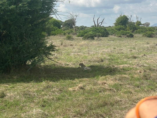 Mastrolindo Escursioni e Safari Kenya-瓦塔木必去景点