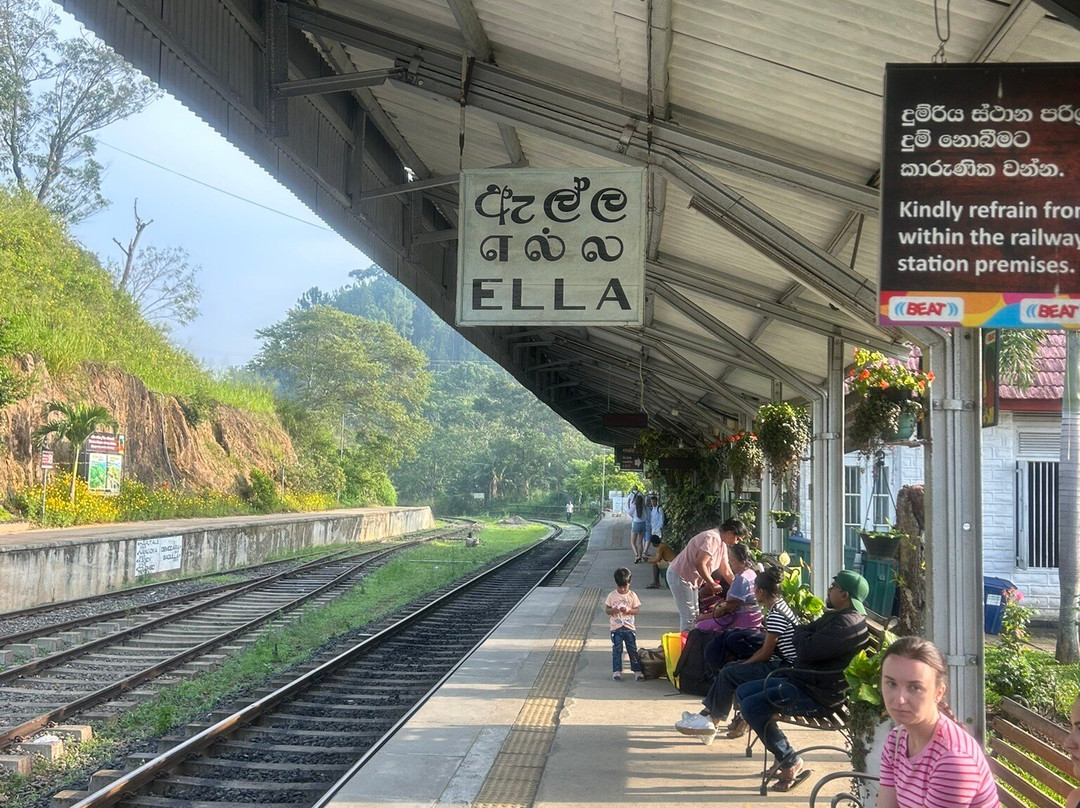 Big Brother Tours And Travels-亚洪加拉必去景点