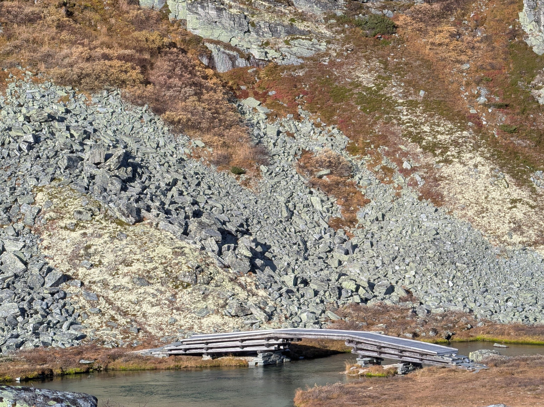 Rondane National Park-Eastern Norway必去景点