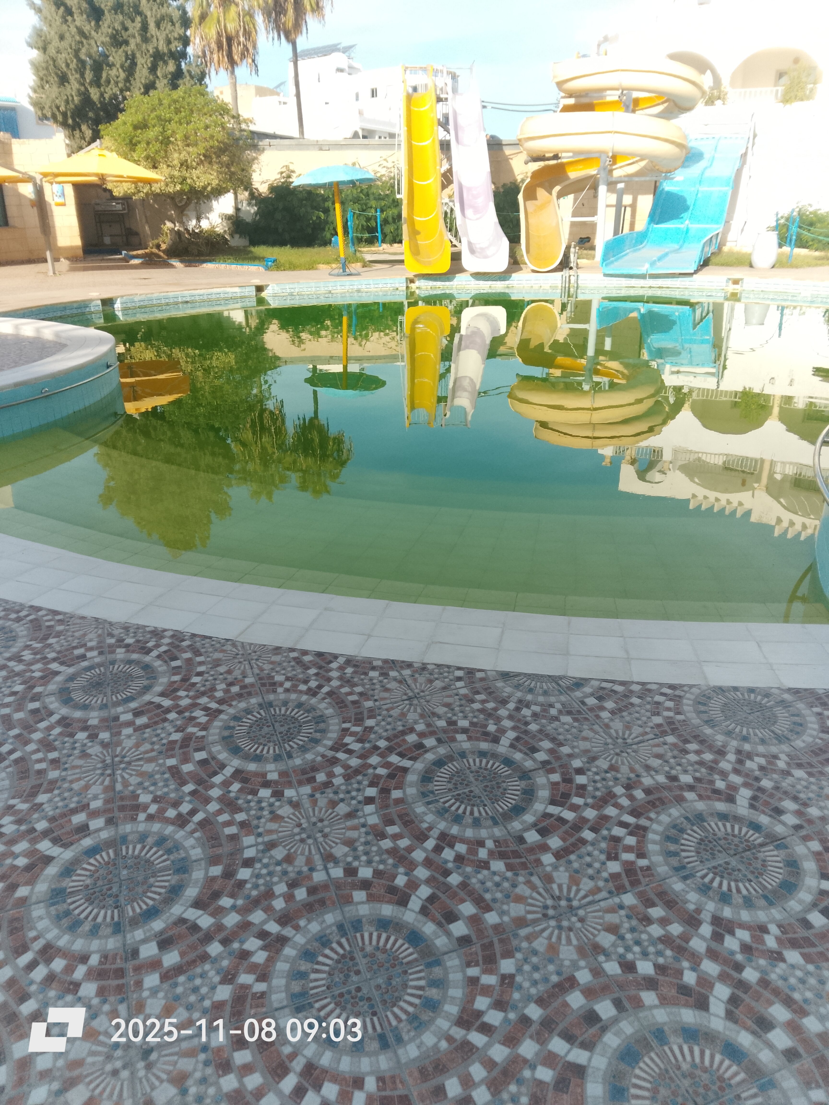 Delphin Ribat-泳池