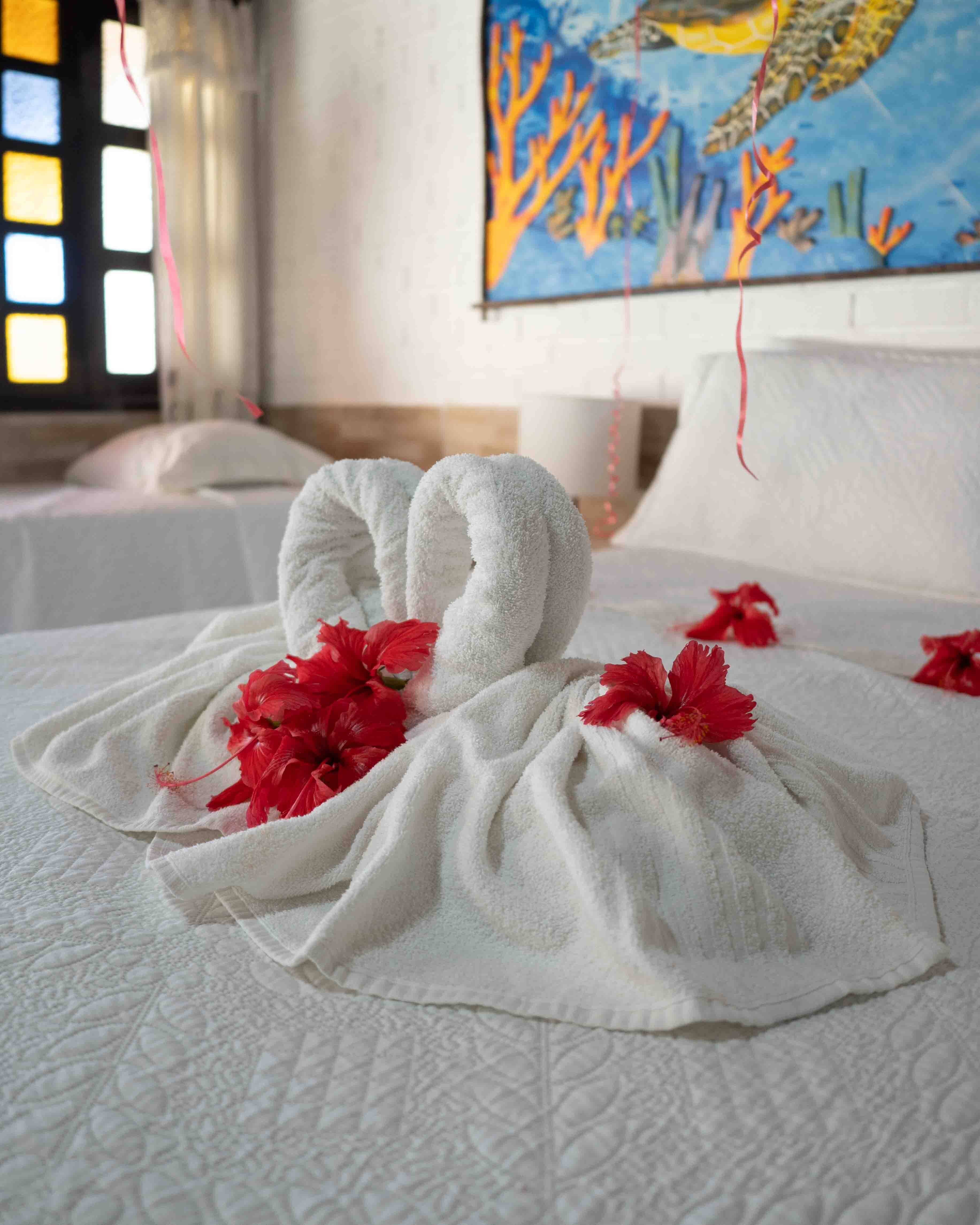 Praia das Tartarugas-客卧