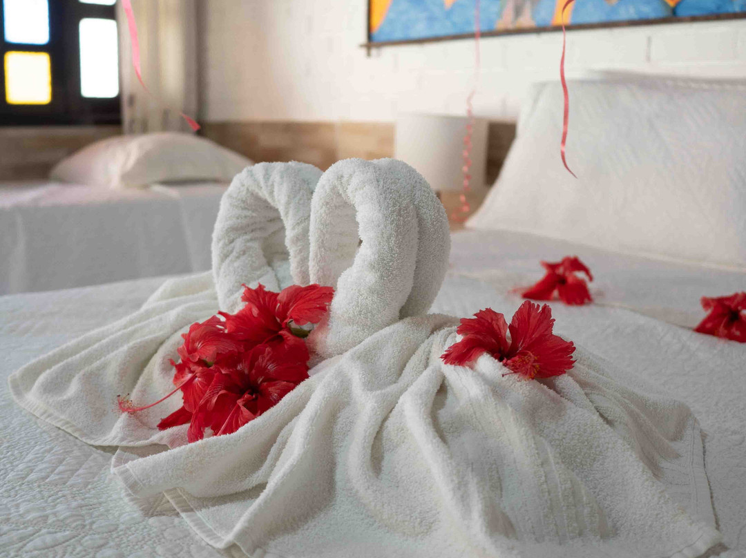 Praia das Tartarugas主图