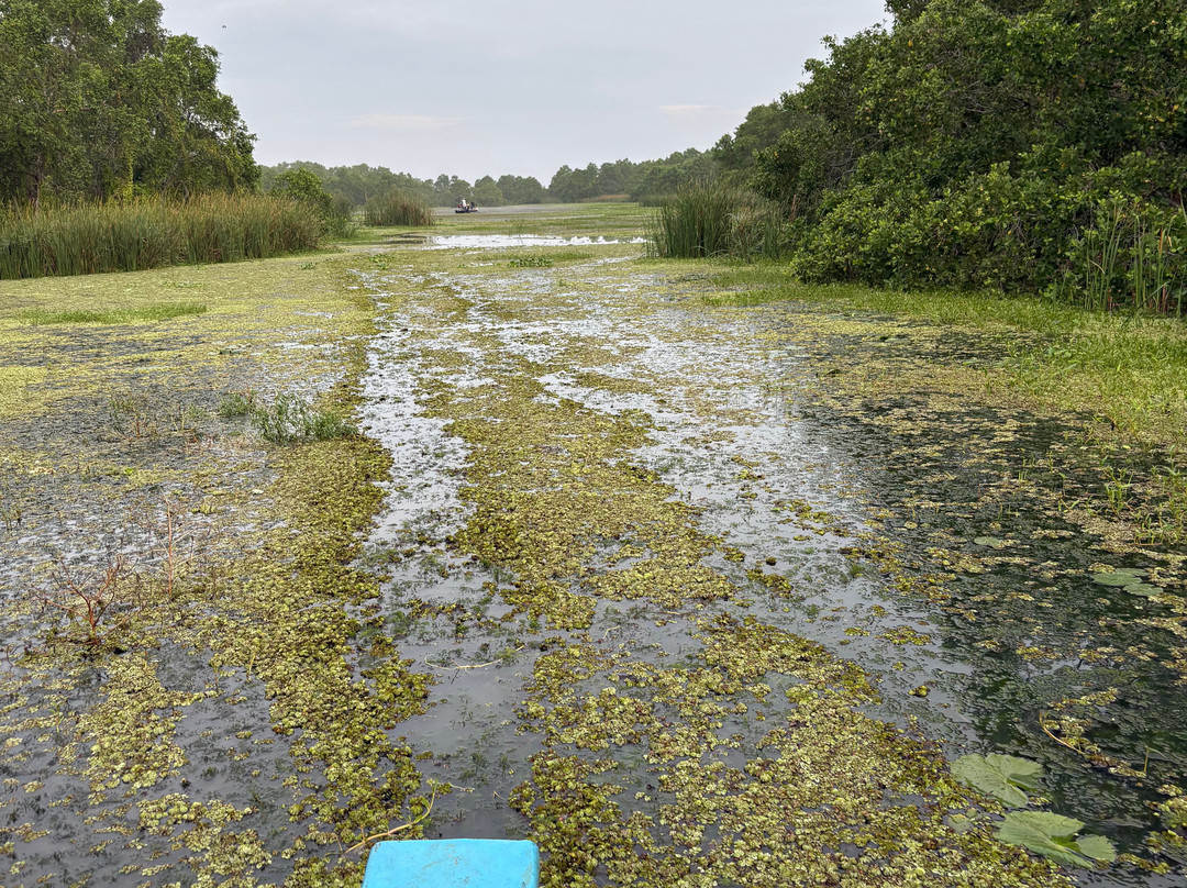 Kalametiya Bird Watching & Ecotourism-Kalametiya必去景点