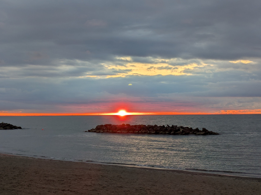 Euclid Creek Reservation-Euclid必去景点