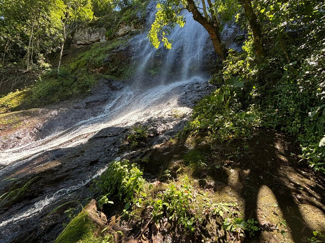 Túnel das Janelas-Vespasiano Correa必去景点