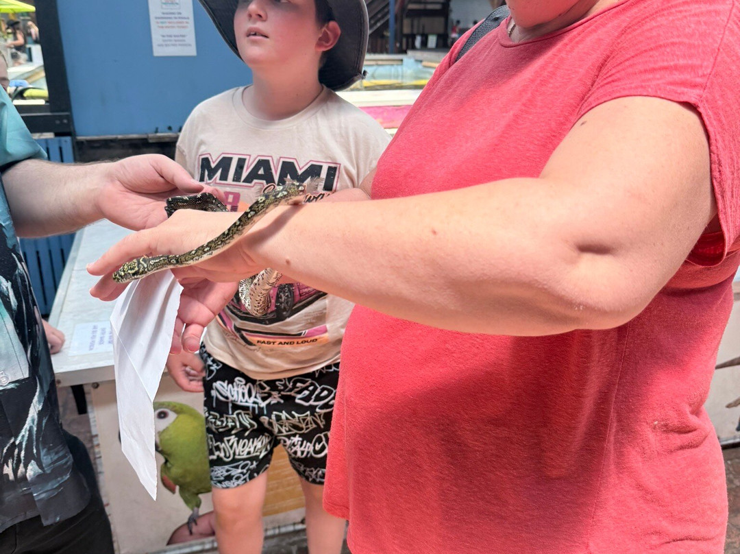 Shark And Ray Rescue Centre-Bobs Farm必去景点