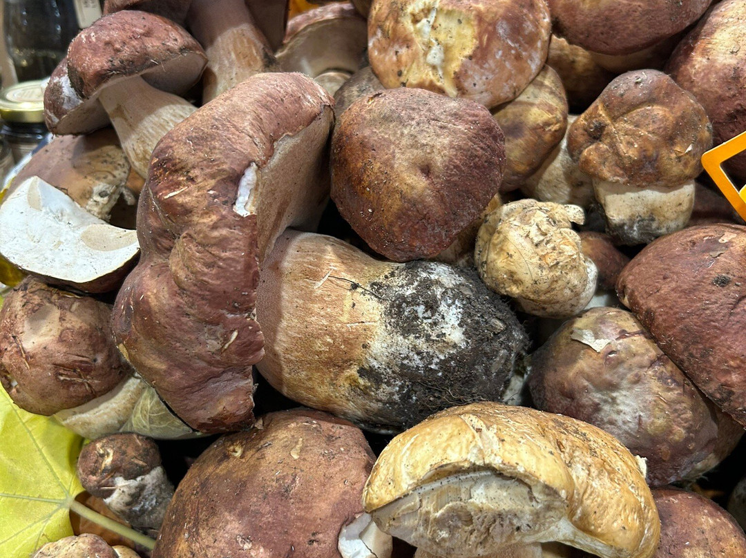 Alba International White Truffle Fair-阿尔巴必去景点