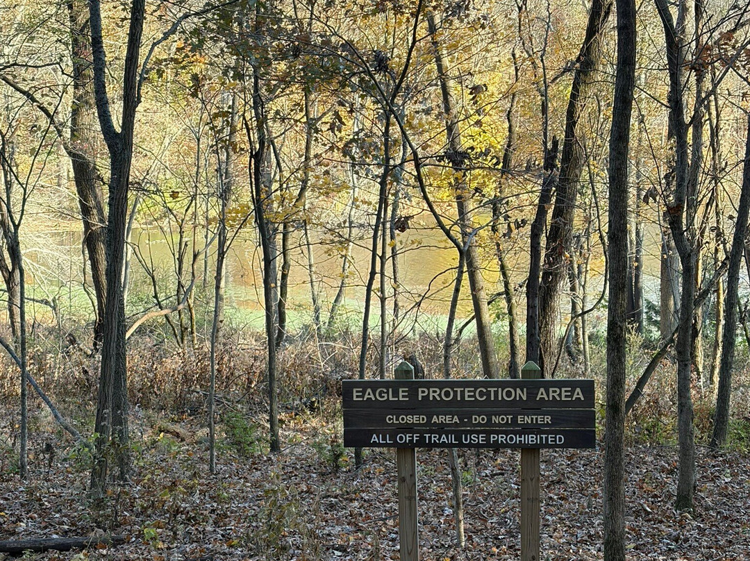 Radnor Lake State Park-纳什维尔必去景点