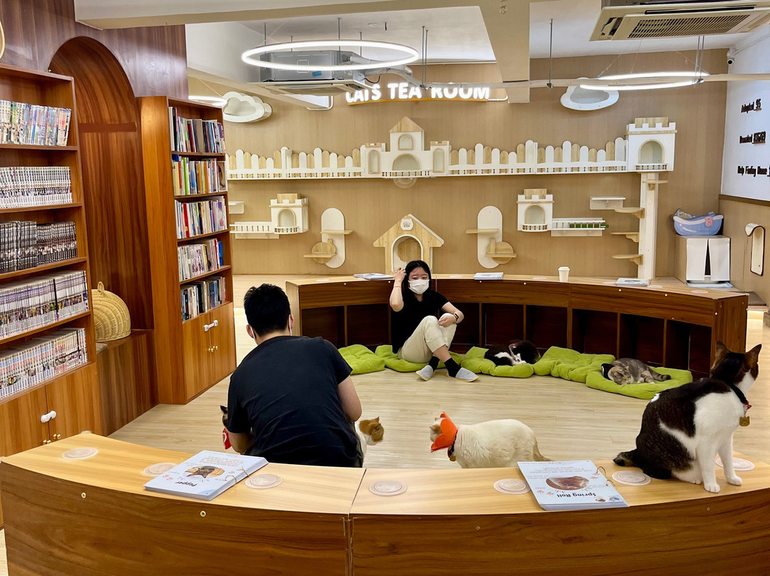 猫之茶房-香港必去景点