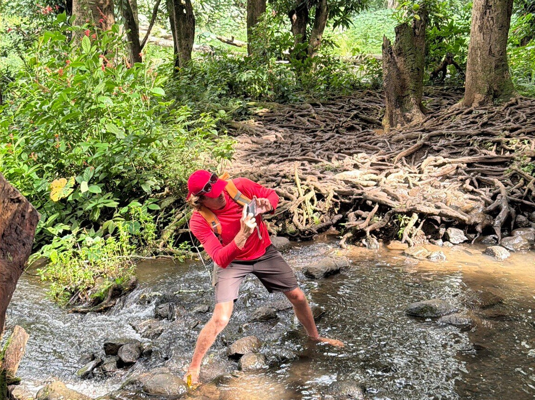 Kayak Wailua-卡帕阿必去景点