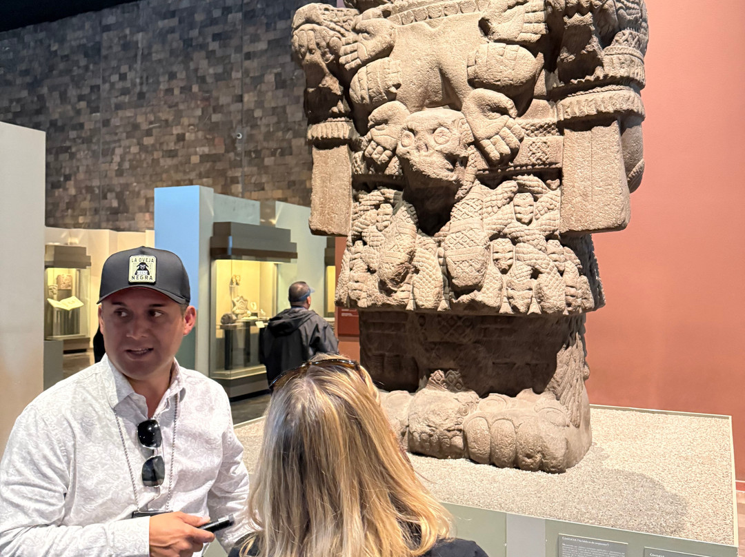 Mexcity Tours- Day Tours-墨西哥城必去景点