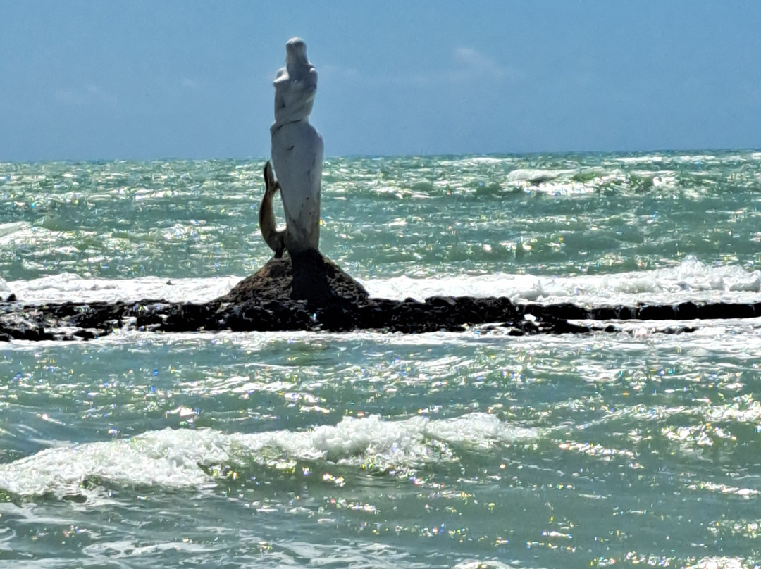 Praia Da Sereia-Maceio必去景点