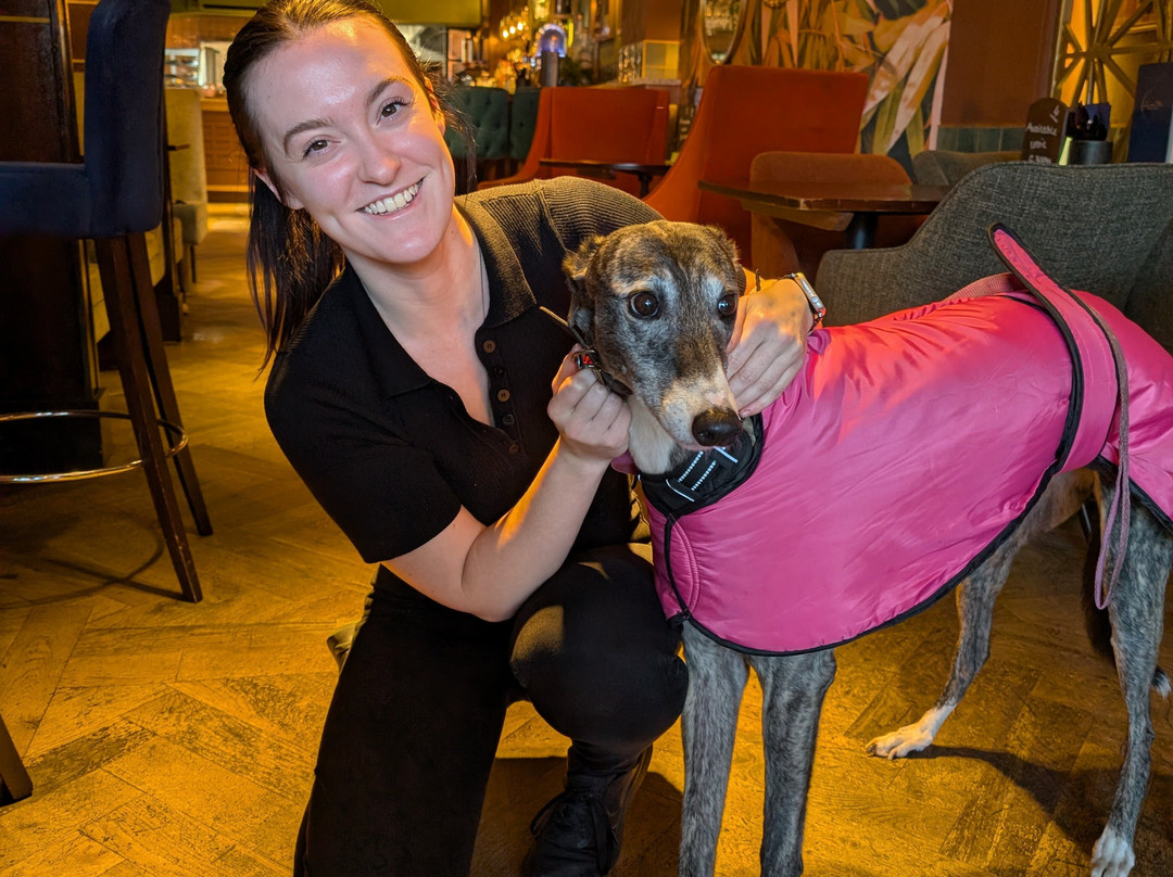 Luna Blu Cocktails & Tapas-Yarm必去景点