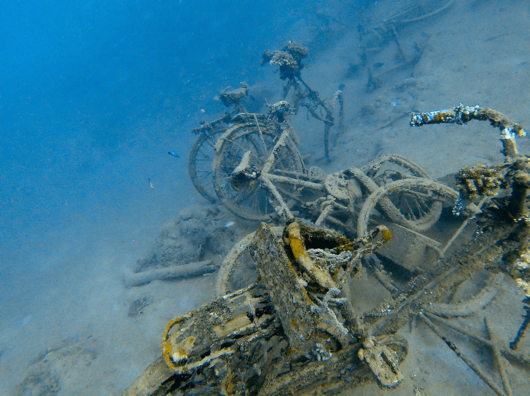 Miguel's Diving Gorontalo-哥伦打洛必去景点