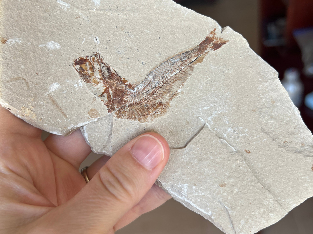 Memory of Time-朱拜勒必去景点