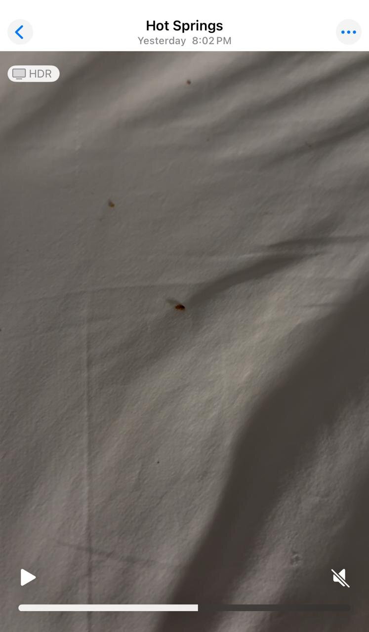 Microtel Inn & Suites By Wyndham Hot Springs-官方