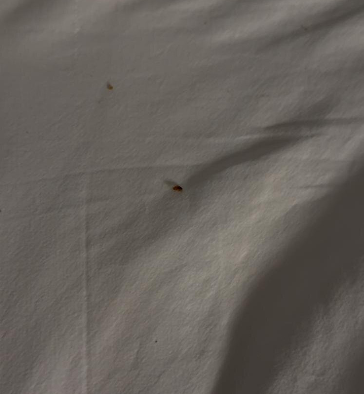 Microtel Inn & Suites By Wyndham Hot Springs主图