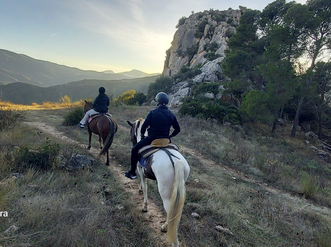 Horse Riding El Chorro-El Chorro必去景点