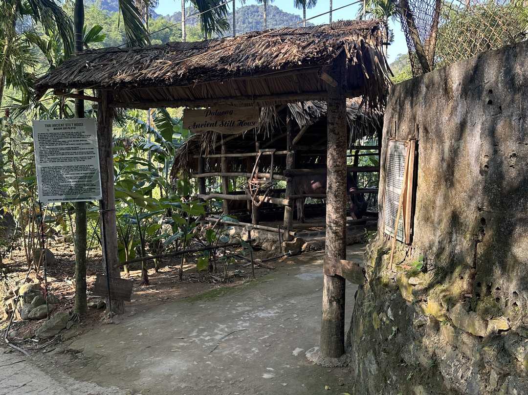 Pu Luong Ancient Stilt House-清化必去景点