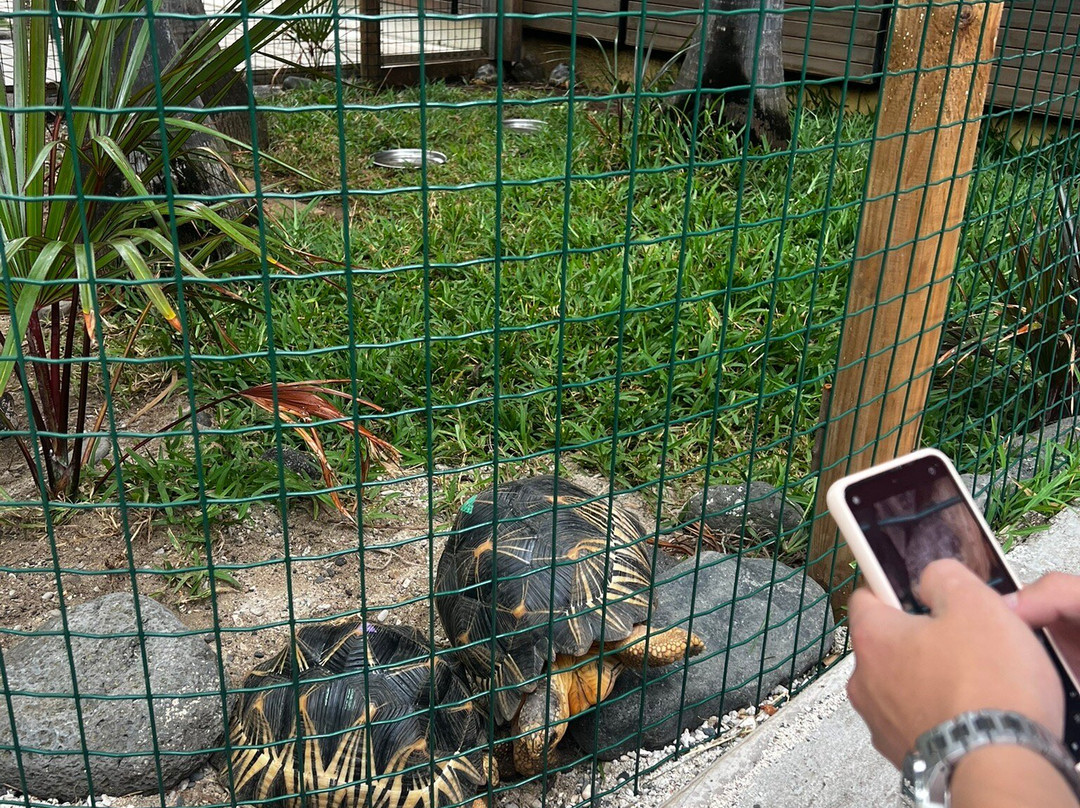 Kélonia-圣亮必去景点