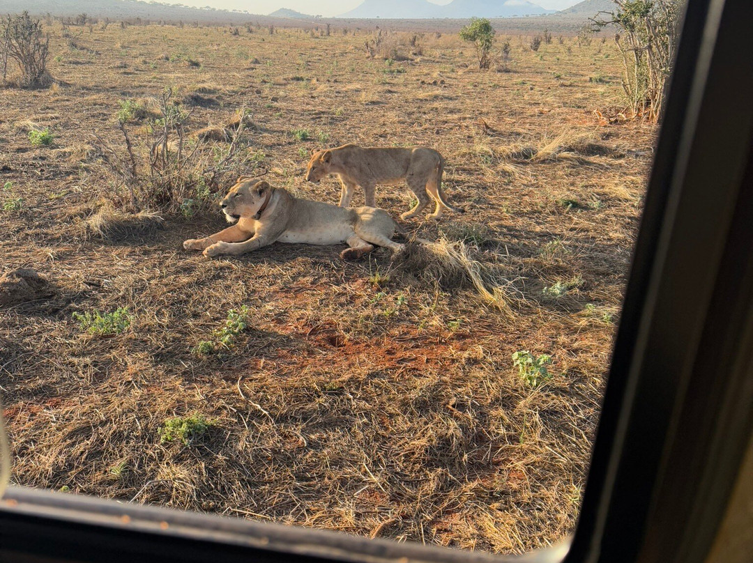 Agenzia Safari Vera Africa-东察沃国家公园必去景点