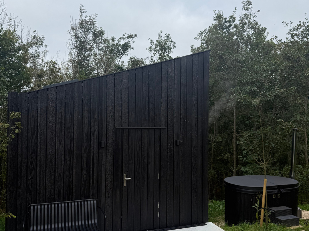 Birch Cabins