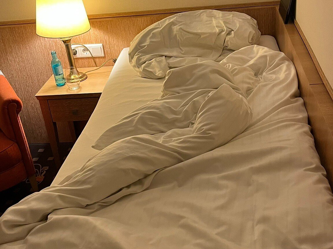 Romantikhotel Platte主图