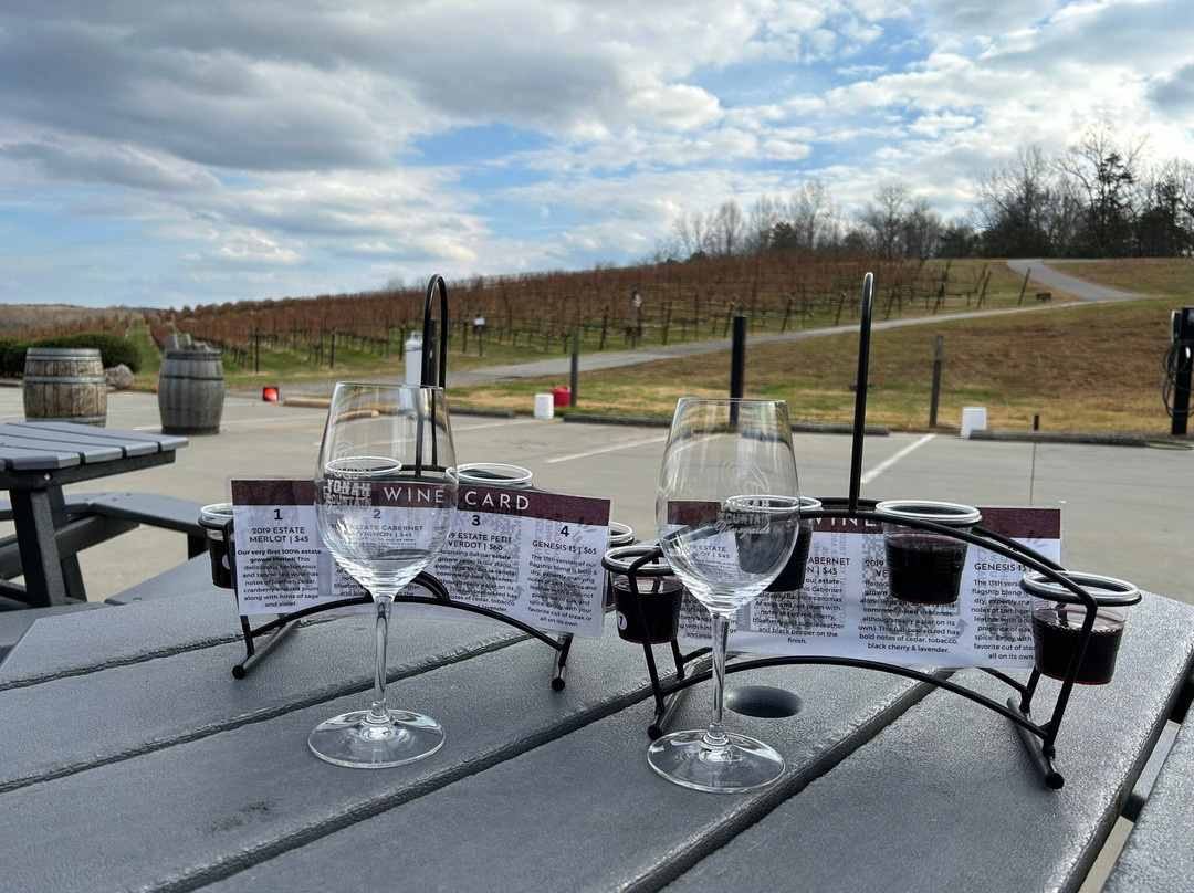 VIP Southern Tours-Sautee Nacoochee必去景点