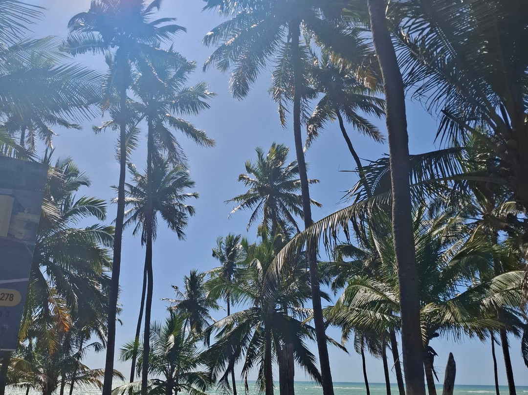 JS RECEPTIVOAL - CARRO: VIAGEM E TURISMO-Maceio必去景点